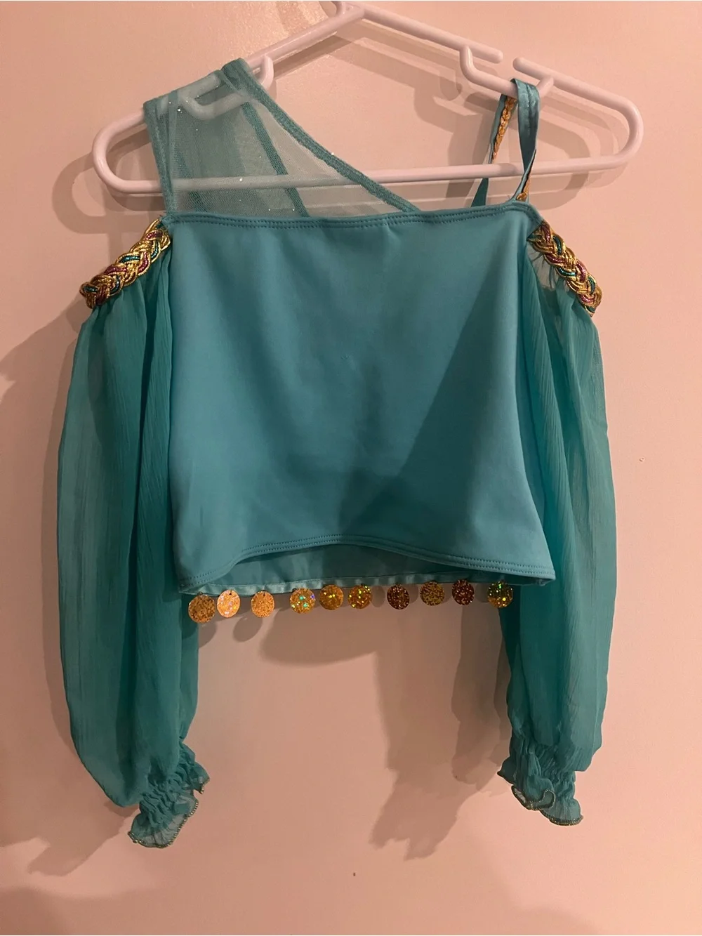 Princess Jasmine Costume, Teal Gold-Trim Crop Top and Pants, Disney